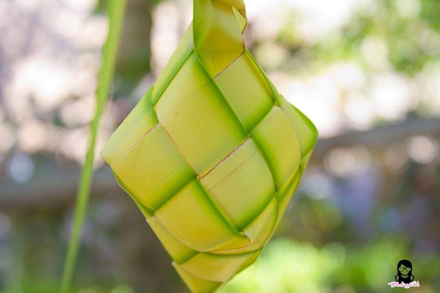 Bojo River Cruise in Aloguinsan Cebu | Blushing Geek
