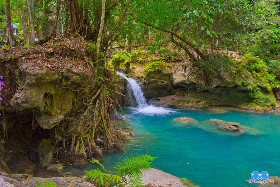 The Mesmerizing Beauty of Kawasan Falls in Cebu | Blushing Geek