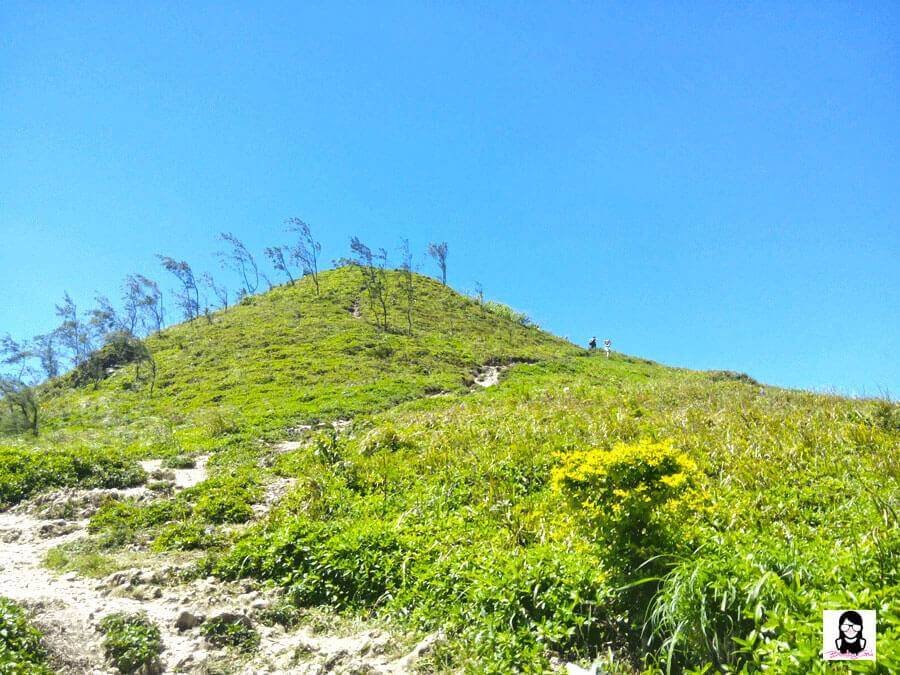 Trekking Osmeña Peak in Cebu | Blushing Geek