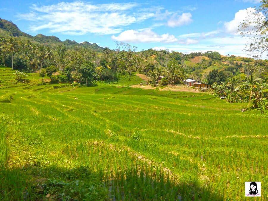 Dalaguete farm visit | Blushing Geek