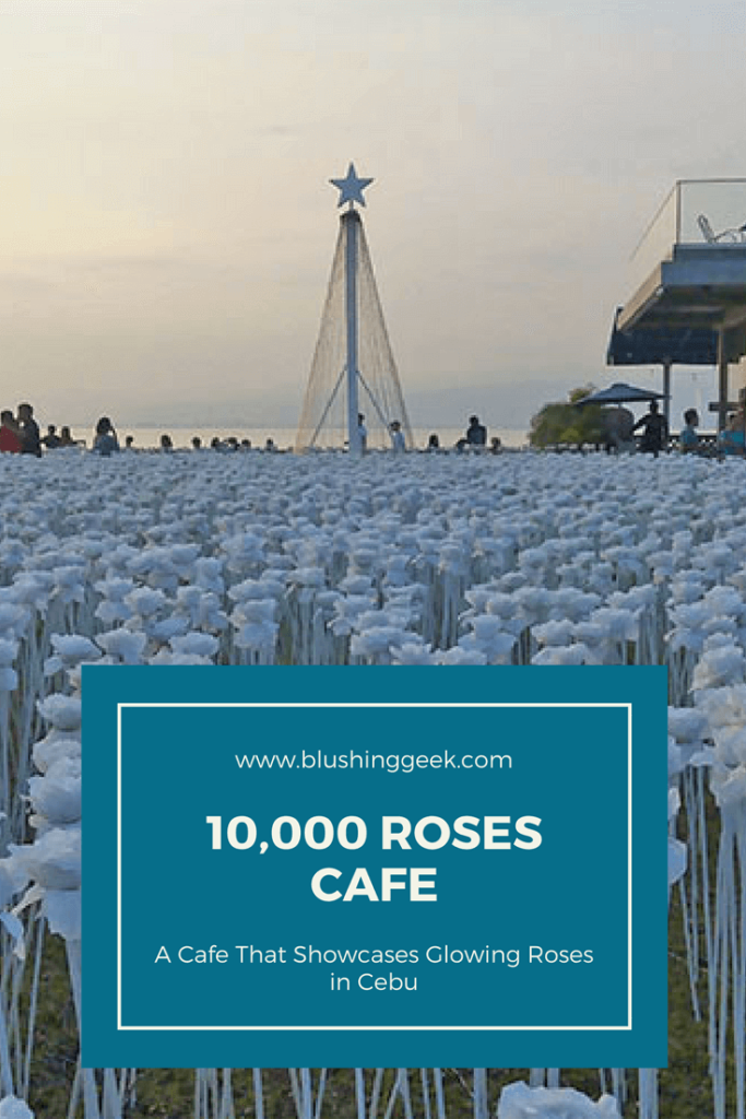 10,000 Roses Cafe : A Cafe That Showcases Glowing Roses in Cebu | Blushing Geek
