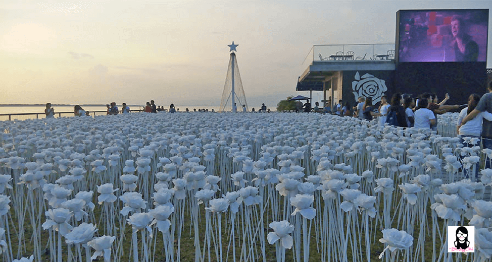 10,000 Roses Cafe : A Cafe That Showcases Glowing Roses in Cebu | Blushing Geek