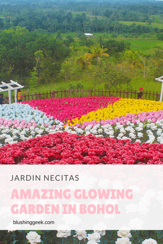 Jardin Necitas – Amazing Glowing Garden in Bohol | Blushing Geek