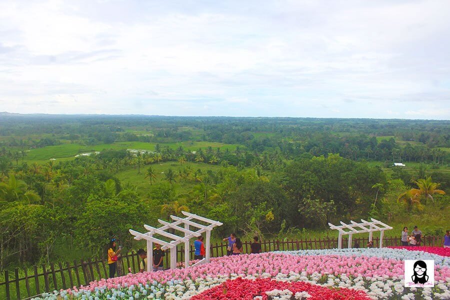 Jardin Necitas – Amazing Glowing Garden in Bohol | Blushing Geek