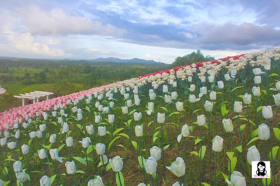 Jardin Necitas – Amazing Glowing Garden in Bohol | Blushing Geek