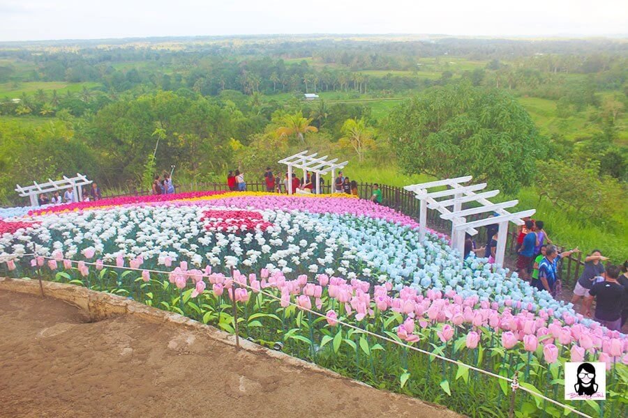 Jardin Necitas – Amazing Glowing Garden in Bohol | Blushing Geek