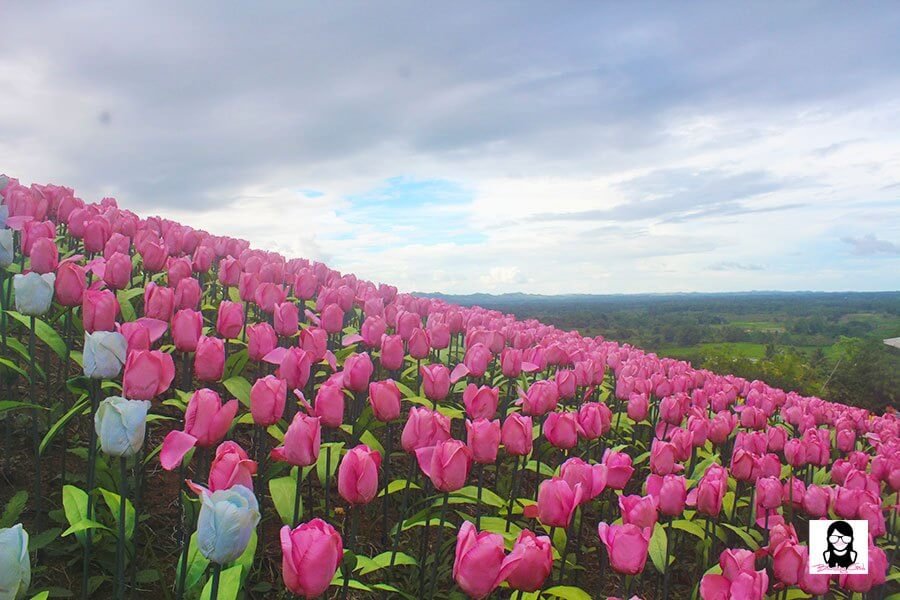 Jardin Necitas – Amazing Glowing Garden in Bohol | Blushing Geek