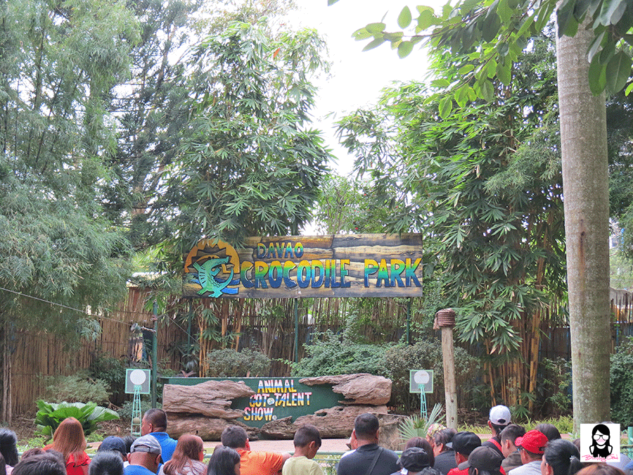 Exploring Davao Crocodile Park | Blushing Geek