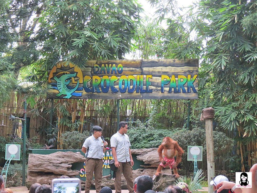 Exploring Davao Crocodile Park | Blushing Geek
