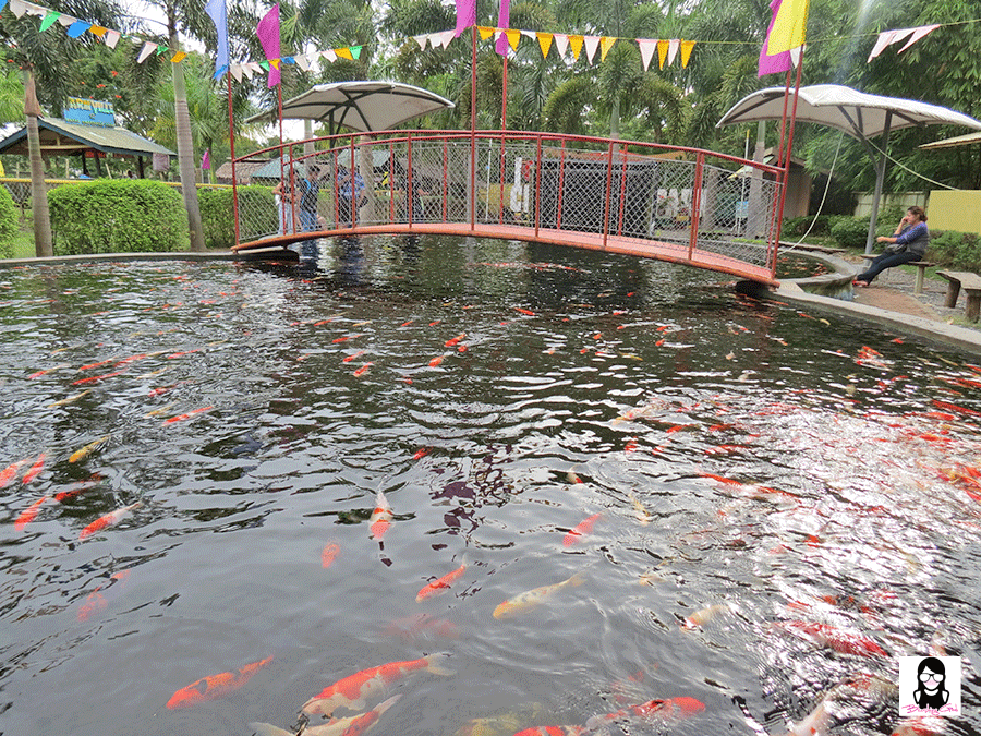 Exploring Davao Crocodile Park | Blushing Geek