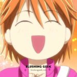 Anime Review – Skip Beat!