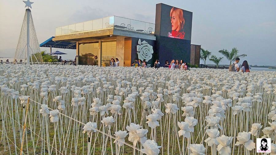 10,000 Roses Cafe : A Cafe That Showcases Glowing Roses in Cebu | Blushing Geek