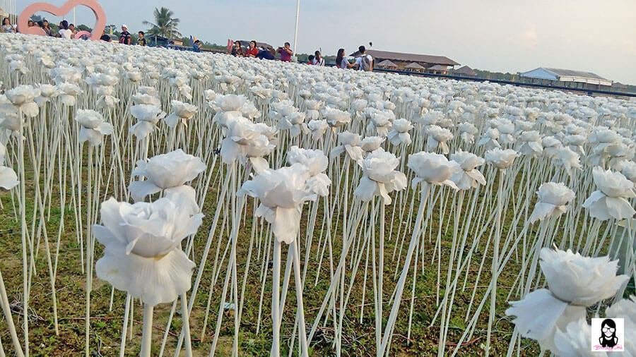 10,000 Roses Cafe : A Cafe That Showcases Glowing Roses in Cebu | Blushing Geek