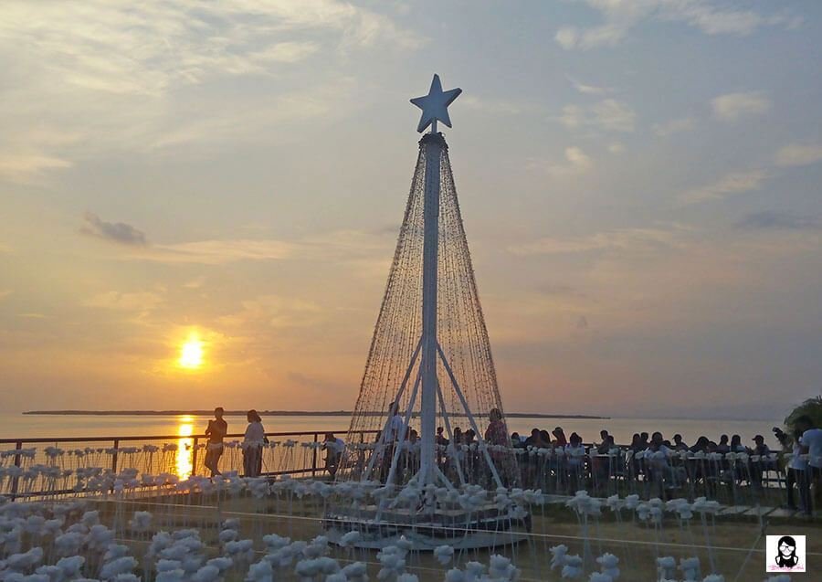 10,000 Roses Cafe : A Cafe That Showcases Glowing Roses in Cebu | Blushing Geek