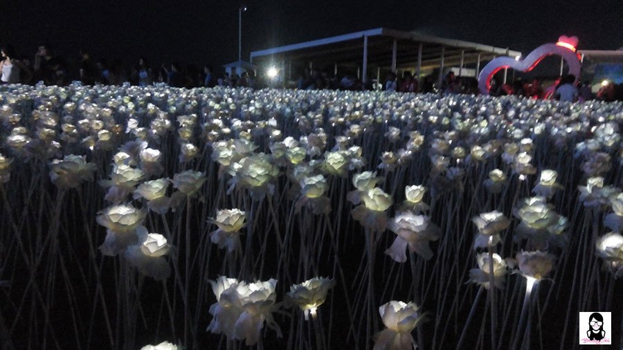 10,000 Roses Cafe : A Cafe That Showcases Glowing Roses in Cebu | Blushing Geek