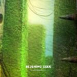 Book Review – The Maze Runner by James Dashner