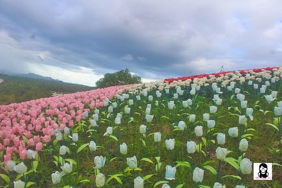 Jardin Necitas – Amazing Glowing Garden in Bohol | Blushing Geek