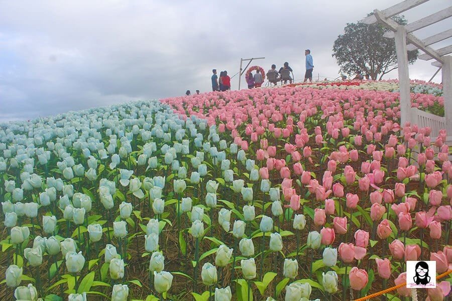 Jardin Necitas – Amazing Glowing Garden in Bohol | Blushing Geek