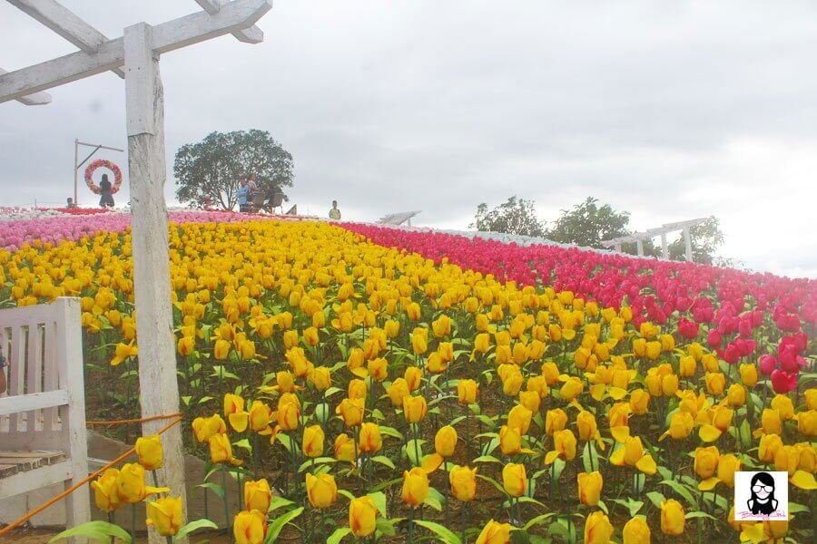 Jardin Necitas – Amazing Glowing Garden in Bohol | Blushing Geek